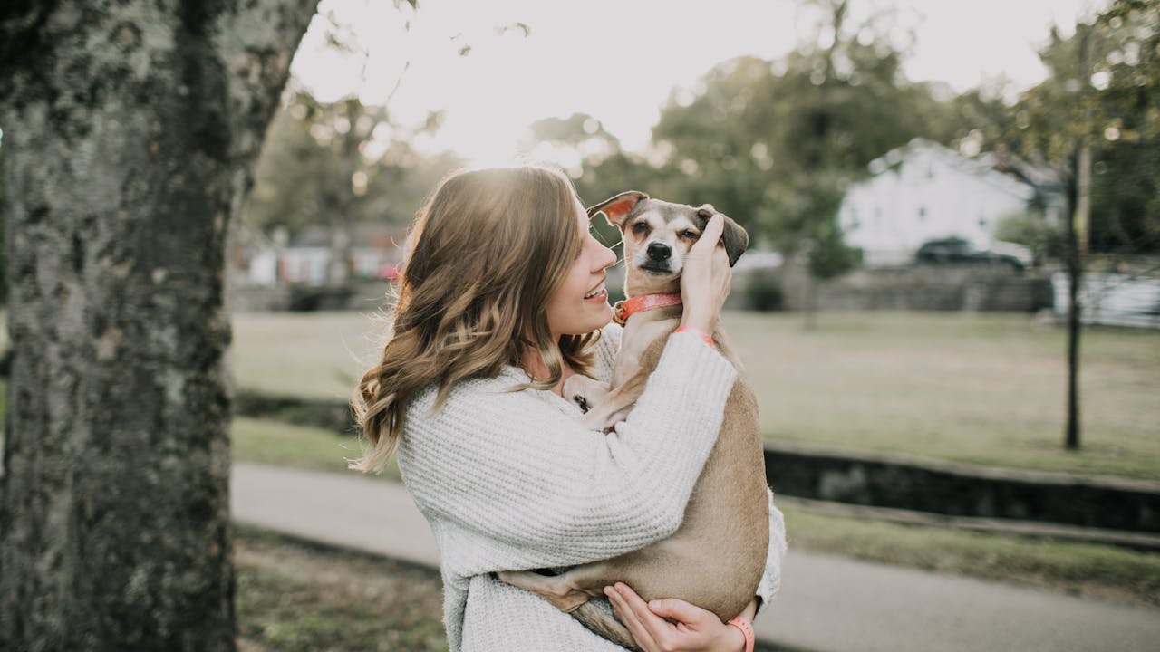 Person photographing their dog outdoors in natural light