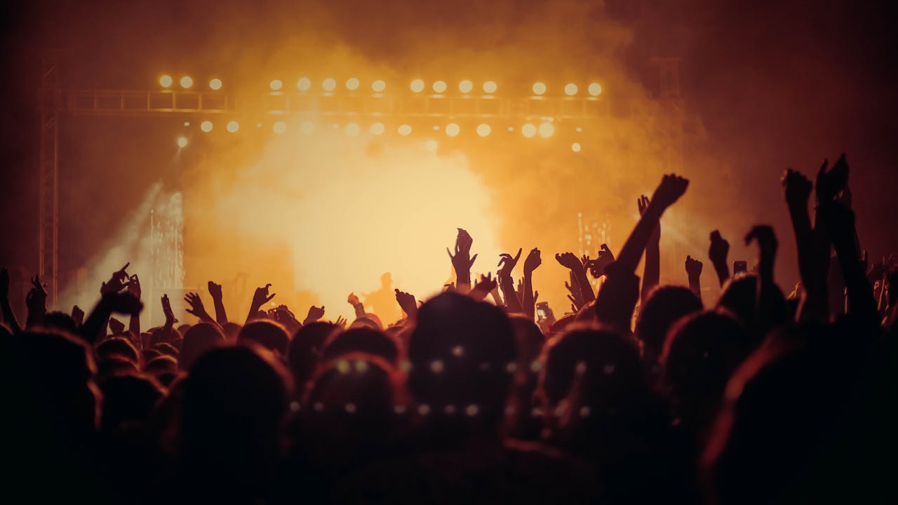 Concert crowd enjoying live music performance
