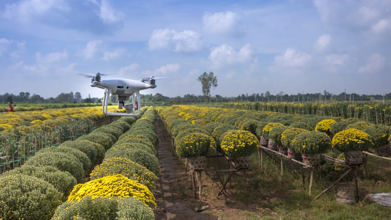 Farmer working in field demonstrating the daily dedication to agricultural life